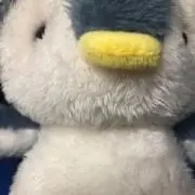 6/29まで発送停止　さぺの画像