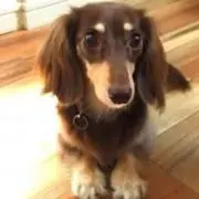 ☆ゆん☆の画像