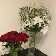 0728ms
