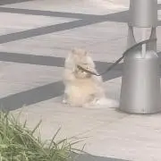 ゆきさん☆