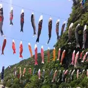 Hirokouの画像