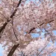 kの画像