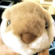 MikaNの画像