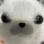 handsome（プロフ要確認）の画像