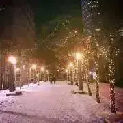 こぼんの画像