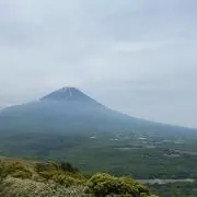 こしろの画像