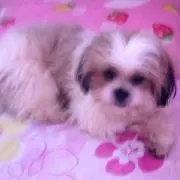 Yuki