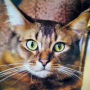 Nonnina  プロフィール見て下さいの画像