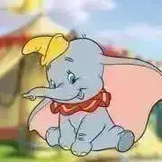 ★だんぼ★プロフ確認願いますの画像