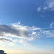 marukariの画像