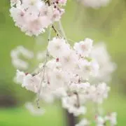 mayu(プロフ必読お願いします)の画像