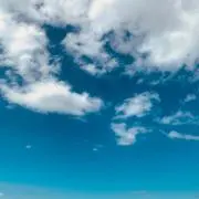トモの画像
