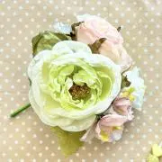 sister FLORIAの画像