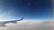ゴリラ
