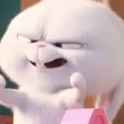 あーる(※)プロフィール必読