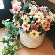 にこーるの画像