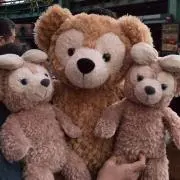 ちょこれえとの画像