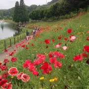 ウエ&ノー（基本週末発送になります）