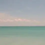rottaの画像