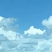Sの画像