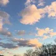 sb55の画像