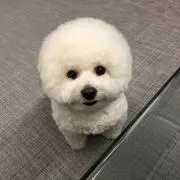 あー❁⃘の画像
