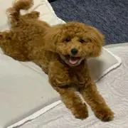 サーボモータ