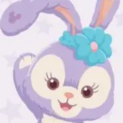 ステラの画像