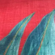 suzu 29の画像