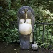 ゆきみだいふくの画像