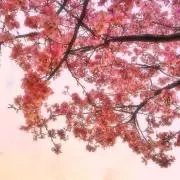 澪 - rei -の画像
