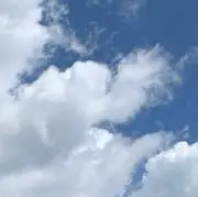 きいの画像