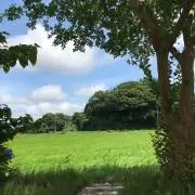 はなし