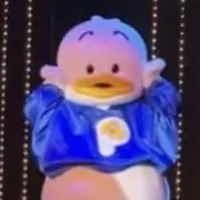 あひるのココの画像
