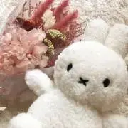 Sakuraraの画像