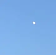まの画像