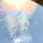 はるこ(お気軽にお値引き交渉どうぞ！)
