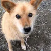 まろん（プロフ必読、値下げ不可）の画像