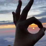 Rolaの画像