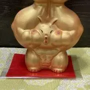 sakiの画像