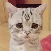 ＹＵＮ