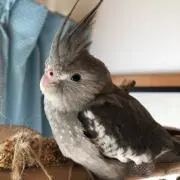 うにゃ彡