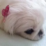 る