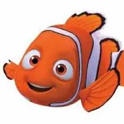 @Nemo