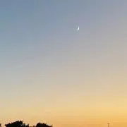Banana6473の画像