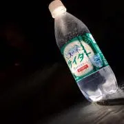 モヤシの画像