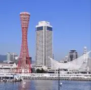 鎌鼬の画像