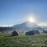 genuineの画像