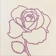 Aoiの画像