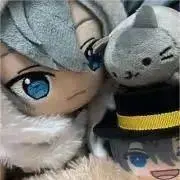 ひいらぎの画像